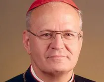 Cardenal Péter Erdo