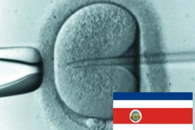 Costa Rica no debe ceder a presión de Corte internacional de DDHH para imponer in vitro