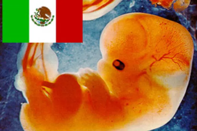 Aborto es un delito y no un derecho, recuerdan ONGs en México