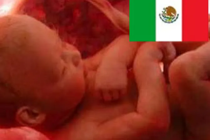 Reformas no penalizan a la mujer y la protegen del aborto, aclara experta en México