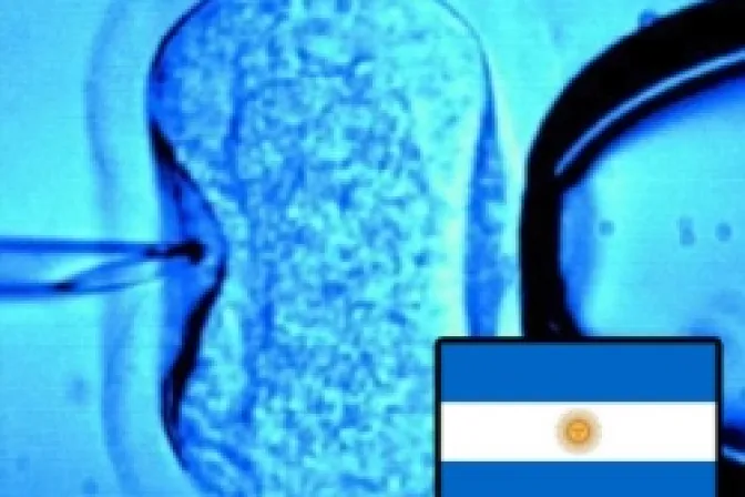 Argentina: Abogados católicos dan trece razones contra ley de fecundación artificial