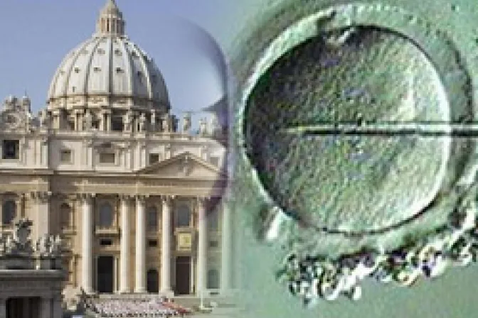 Vaticano presentará alternativas a fecundación artificial