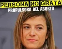 La iniciativa en Facebook contra Bibiana Aído