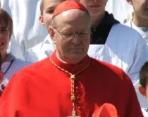 Cardenal Peter Erdo, Arzobispo de Esztergom-Budapest y Primado de Hungría