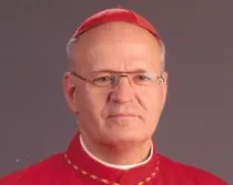 Cardenal Peter Erdo