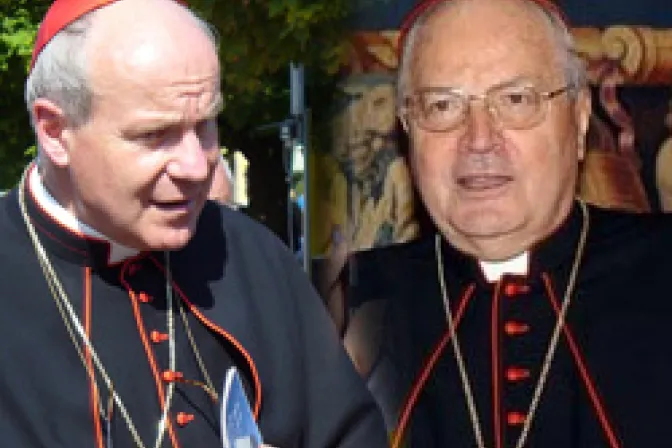 Cardenal Schönborn se disculpa con el Cardenal Sodano en el Vaticano