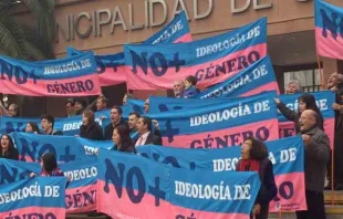 Padres contra la ideologu00eda de gu00e9nero en las escuelas / Gentileza: Padres de San Ramu00f3n 