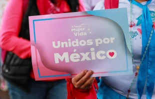 Marcha a favor de la mujer y de la vida Crédito: A favor de la mujer y de la vida