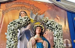Imagen de la Purísima Concepción de María Crédito: Parroquia Sagrado Corazón de Jesús- Monseñor Lezcano