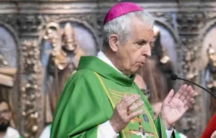 Mons. Luis Quinteiro, Obispo de Tui-Vigo, en España. Crédito: Obispado de Tui-Vigo
