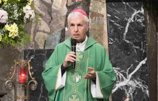 Mons. Luis Quinteiro, Obispo Emérito de Tui-Vigo (España) y promotor del Apostolado del Mar. Crédito: Diócesis de tui-Vigo.