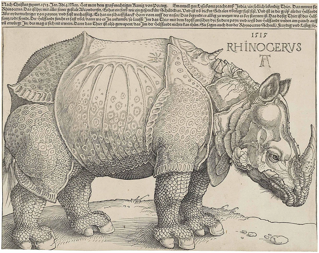 Skeċċ tar-rhinoceros Ganda, minn Albrecht Dürer. Kreditu: Dominju pubbliku