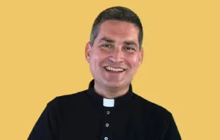 Mons. Javier Domingo Fernández González Crédito: Twitter Segreteria di Stato della Santa Sede