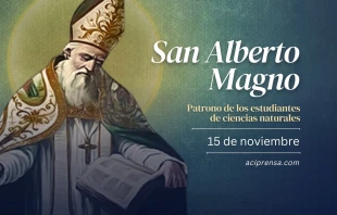 null San Alberto Magno, 15 de noviembre / ACI Prensa