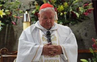 Misa del Cardenal D. Juan Sandoval Íñiguez en 2019 en el festejo de aniversario de Consagración Cardenalicia. Crédito: Prensa Arzobispado de Guadalajara