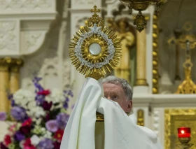 Sacerdote rescató el Santísimo de incendio en iglesia de la Inmaculada Concepción en Francia