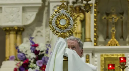 La Eucaristía, el Santísimo Sacramento, rescatada del incendio en una iglesia católica en Francia 03092024