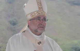 El Arzobispo de Oviedo, Mons. Jesús Sanz Montes, OMF. Crédito: Arzobispado de Oviedo.