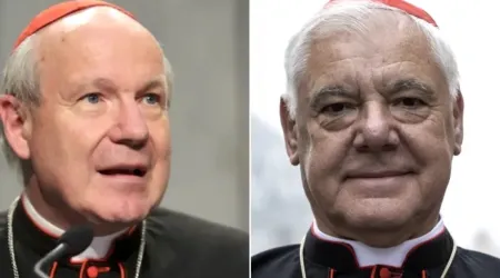 Cardenales Cardenal Christoph Schönborn y Gerhard Ludwig Müller