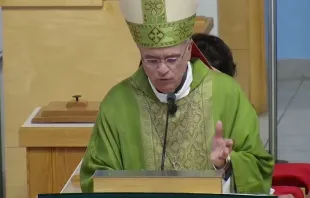 Mons. Silvio Báez, Obispo Auxiliar de Managua (Nicaragua). Crédito: Captura video St. Agatha Catholic Church