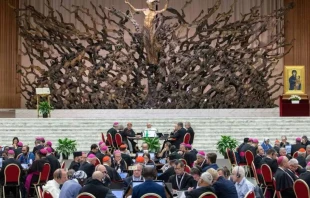 El Papa Francisco y otros delegados participan en la segunda sesión de la XVI Asamblea General Ordinaria de la primera congregación general del Sínodo de los Obispos, el 2 de octubre, en el Aula Pablo VI del Vaticano. Crédito: Daniel Ibáñez / EWTN News.