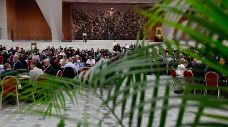 Imagen de los miembros del Sínodo reunidos en el Aula Pablo VI del Vaticano