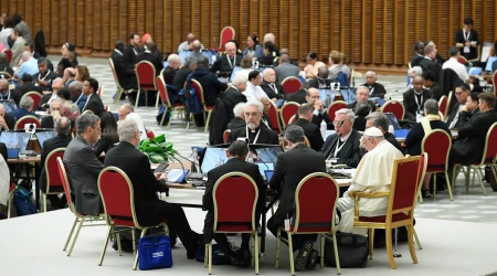 Imagen de una de las reuniones durante el Sínodo de la Sinodalidad 2024