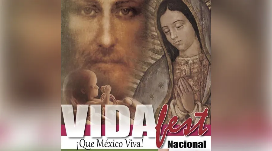 Foto: Facebook VidaFest Nacional