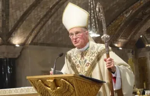 Mons. Timothy Broglio, presidente del Episcopado de Estados Unidos. Crédito: Cortesía del Arzobispado Castrense de Estados Unidos.