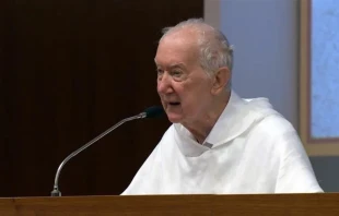 El P. Timothy Radcliffe dijo a los delegados del Sínodo de la Sinodalidad que el tiempo antes de la asamblea de 2024 "será probablemente el tiempo más fértil de todo el sínodo, el tiempo de germinación". Crédito: Vatican Media.