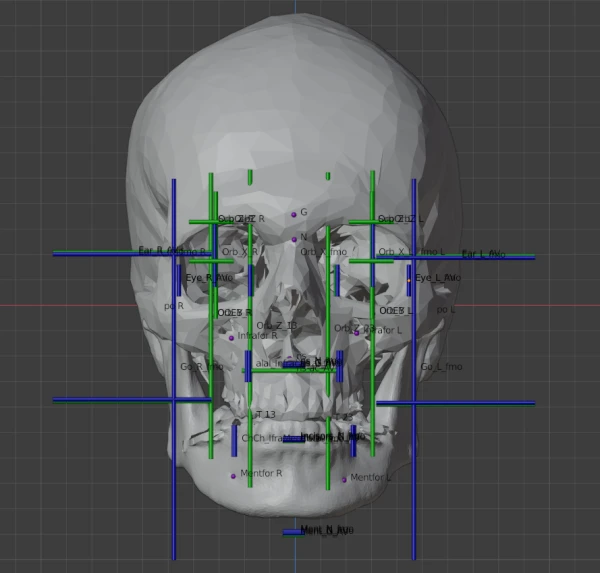 Images used to recreate the skull. Credit: Cicero Moraes courtesy.