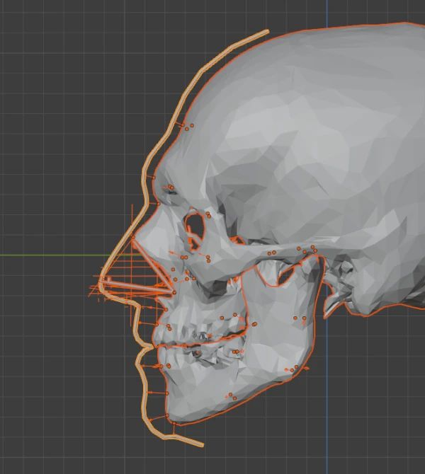 Three -dimensional mapping of facial features. Credit: Cicero Moraes.