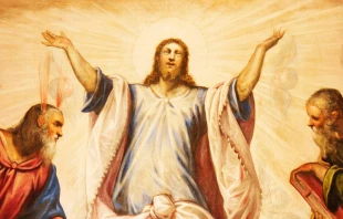 La Transfiguración de Cristo, en medio de San Moisés y San Elías Crédito: Renata Sedmakova - Shutterstock