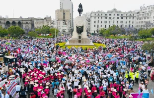 Miles marchan en defensa del matrimonio y en contra de proyecto de ley de unión civil del mismo sexo. Crédito: Cortesía de Wilmer Pallarco