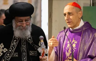 Tawadros II de Alejandría y Cardenal Víctor Manuel Fernández Andreas Solaro - Vatican News  /  Elizabeth Alva - EWTN News