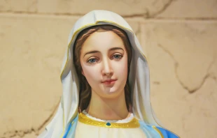 Virgen de la Medalla Milagrosa Crédito: Immaculate - Shutterstock