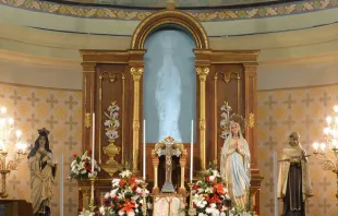 La imagen de la Virgen de Lourdes de Altagracia que no está pero que todos ven. Crédito: Facebook Virgen de Altagracia