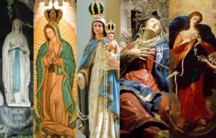 De izquierda a derecha: Nuestra Señora de Lourdes; Nuestra Señora de Guadalupe; Nuestra Señora del Rosario; Nuestra Señora de los Dolores y Nuestra Señora Desatadora de Nudos. Crédito: rparys vía Canva Teams; Bluebird13 vía Canva Teams; Sidney de Almeida vía Canva Teams; Zarateman, CC BY-SA 4.0, vía Wikimedia Commons; Johann Georg Melchior Schmidtner (1625-1705), dominio público, vía Wikimedia Commons.