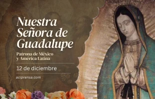 null Virgen de Guadalupe, 12 de diciembre / ACI Prensa