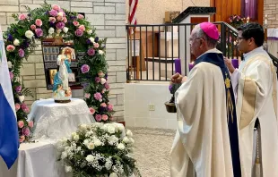 El Obispo auxiliar de Managua, Mons. Silvio Báez, ante una imagen de la Santísima Virgen. Crédito: Iglesia de Santa Juliana en Florida / Diócesis de Palm Beach