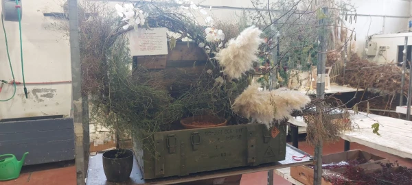 Ammo box turned into a bouquet of flowers. Credit: Courtesy/ Frontiere di Pace