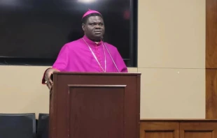 Mons. Wilfred Anagbe, Obispo de la diócesis nigeriana de Makurdi, en el estado de Benue, en un desayuno en el Capitolio organizado por la fundación pontificia Ayuda a la Iglesia Necesitada, el 30 de enero de 2024. Crédito: Peter Pinedo / CNA.